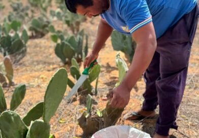 Prefeitura de Glória fortalece agricultura com cadastramento de produtores rurais